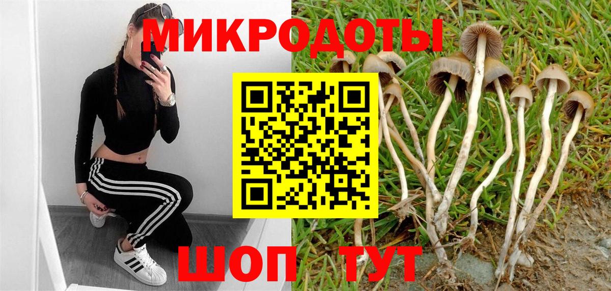 Галлюциногенные грибы GOLDEN TEACHER Ноябрьск