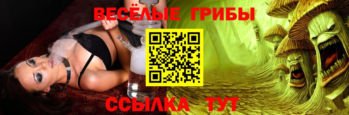 Галлюциногенные грибы Psilocybe  Вход с VPN  Ноябрьск 